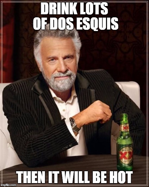 The Most Interesting Man In The World Meme | DRINK LOTS OF DOS ESQUIS THEN IT WILL BE HOT | image tagged in memes,the most interesting man in the world | made w/ Imgflip meme maker