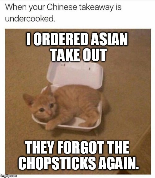 Raw Asian Food | I ORDERED ASIAN TAKE OUT; THEY FORGOT THE CHOPSTICKS AGAIN. | image tagged in raw asian food | made w/ Imgflip meme maker