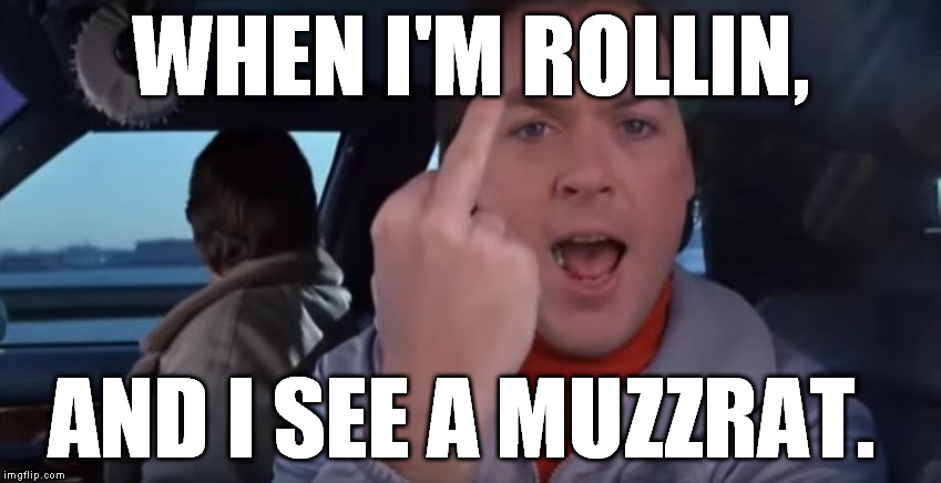 Like i care.  | WHEN I'M ROLLIN, AND I SEE A MUZZRAT. | image tagged in islam,memes,serious | made w/ Imgflip meme maker