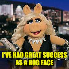 I'VE HAD GREAT SUCCESS AS A HOG FACE | made w/ Imgflip meme maker