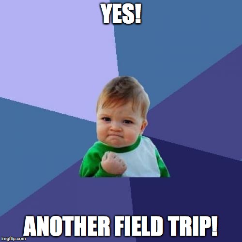 Success Kid | YES! ANOTHER FIELD TRIP! | image tagged in memes,success kid | made w/ Imgflip meme maker