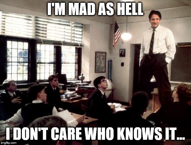 Robin Williams | I'M MAD AS HELL; I DON'T CARE WHO KNOWS IT... | image tagged in robin williams | made w/ Imgflip meme maker