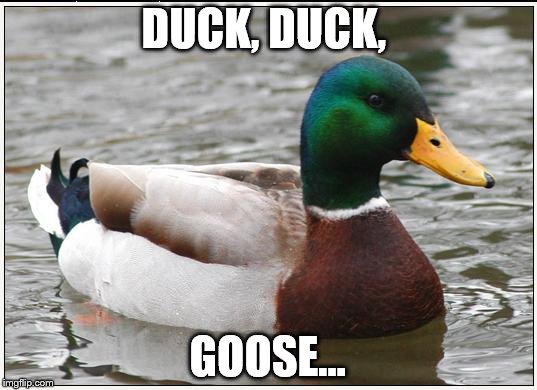 Actual Advice Mallard | DUCK, DUCK, GOOSE... | image tagged in memes,actual advice mallard | made w/ Imgflip meme maker