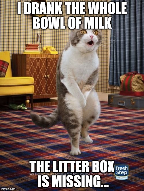 Gotta Go Cat | I DRANK THE WHOLE BOWL OF MILK; THE LITTER BOX IS MISSING... | image tagged in memes,gotta go cat | made w/ Imgflip meme maker