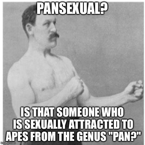 Overly Manly Man | PANSEXUAL? IS THAT SOMEONE WHO IS SEXUALLY ATTRACTED TO APES FROM THE GENUS "PAN?" | image tagged in memes,overly manly man | made w/ Imgflip meme maker