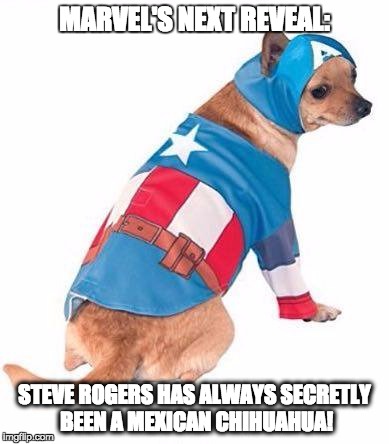 HAIL HYDRANT. | MARVEL'S NEXT REVEAL:; STEVE ROGERS HAS ALWAYS SECRETLY BEEN A MEXICAN CHIHUAHUA! | image tagged in captainamerica,steverogers,marvelcomics,hailhydra,captainamericacivilwar | made w/ Imgflip meme maker