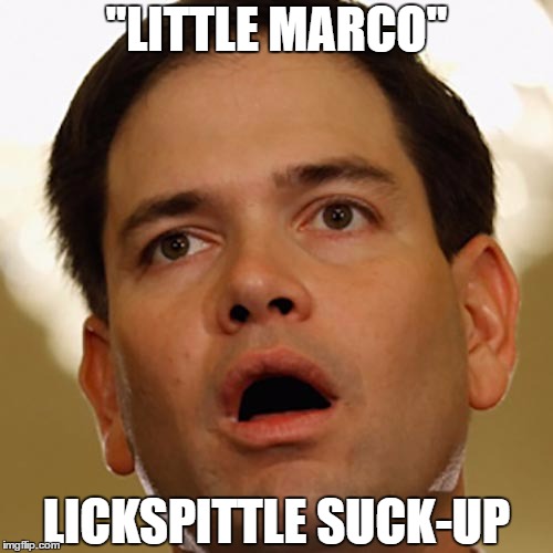 "LITTLE MARCO" LICKSPITTLE SUCK-UP | made w/ Imgflip meme maker