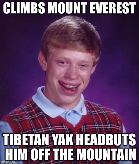 Bad Luck Brian Meme | CLIMBS MOUNT EVEREST; TIBETAN YAK HEADBUTS HIM OFF THE MOUNTAIN | image tagged in memes,bad luck brian | made w/ Imgflip meme maker