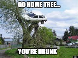 Stupid gps... | GO HOME TREE... YOU'RE DRUNK | image tagged in memes,car,tree,go home you're drunk | made w/ Imgflip meme maker