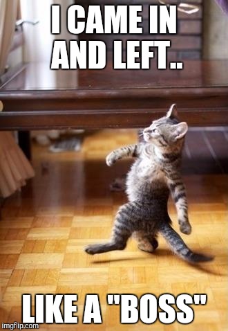 Cool Cat Stroll | I CAME IN AND LEFT.. LIKE A "BOSS" | image tagged in memes,cool cat stroll | made w/ Imgflip meme maker
