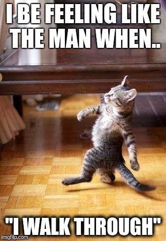 Cool Cat Stroll | I BE FEELING LIKE THE MAN WHEN.. "I WALK THROUGH" | image tagged in memes,cool cat stroll | made w/ Imgflip meme maker