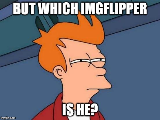 Futurama Fry Meme | BUT WHICH IMGFLIPPER IS HE? | image tagged in memes,futurama fry | made w/ Imgflip meme maker