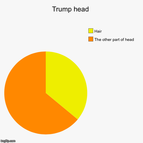 image tagged in funny,pie charts | made w/ Imgflip chart maker