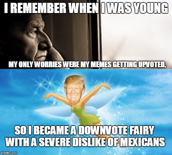 The Birth Of A Downvote Fairy | I REMEMBER WHEN I WAS YOUNG; MY ONLY WORRIES WERE MY MEMES GETTING UPVOTED, SO I BECAME A DOWNVOTE FAIRY WITH A SEVERE DISLIKE OF MEXICANS | image tagged in donald trump,downvote fairy,downvote,old man,windows,window | made w/ Imgflip meme maker