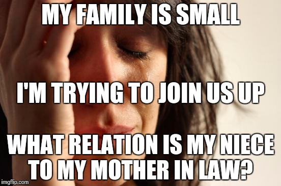 First World Problems | MY FAMILY IS SMALL; I'M TRYING TO JOIN US UP; WHAT RELATION IS MY NIECE TO MY MOTHER IN LAW? | image tagged in memes,first world problems | made w/ Imgflip meme maker