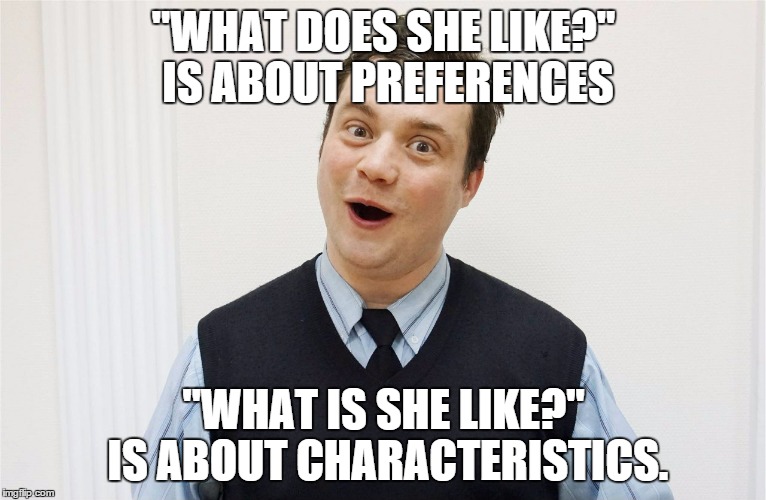"WHAT DOES SHE LIKE?" IS ABOUT PREFERENCES; "WHAT IS SHE LIKE?" IS ABOUT CHARACTERISTICS. | image tagged in teacheralex | made w/ Imgflip meme maker
