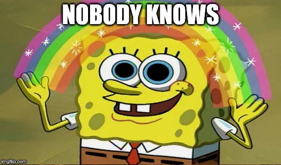 NOBODY KNOWS | made w/ Imgflip meme maker