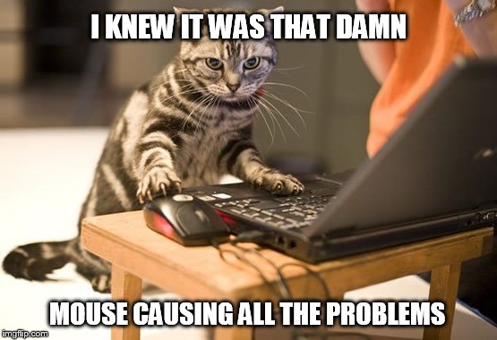 cat computer | I KNEW IT WAS THAT DAMN; MOUSE CAUSING ALL THE PROBLEMS | image tagged in cat computer | made w/ Imgflip meme maker