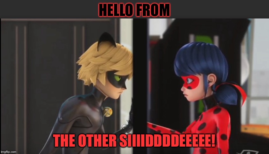 Hello it's me  | HELLO FROM; THE OTHER SIIIIDDDDEEEEE! | image tagged in miraculous ladybug | made w/ Imgflip meme maker