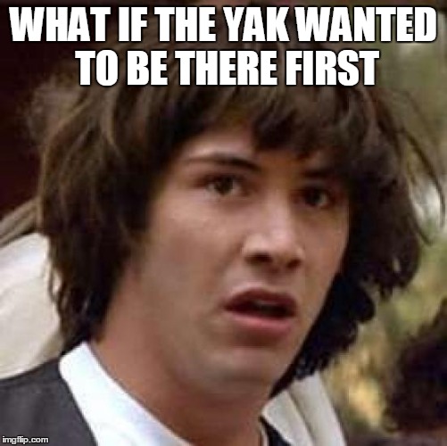 Conspiracy Keanu Meme | WHAT IF THE YAK WANTED TO BE THERE FIRST | image tagged in memes,conspiracy keanu | made w/ Imgflip meme maker