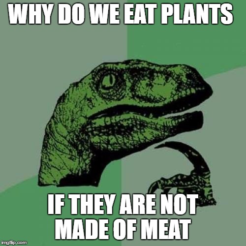 Philosoraptor Meme | WHY DO WE EAT PLANTS IF THEY ARE NOT MADE OF MEAT | image tagged in memes,philosoraptor | made w/ Imgflip meme maker