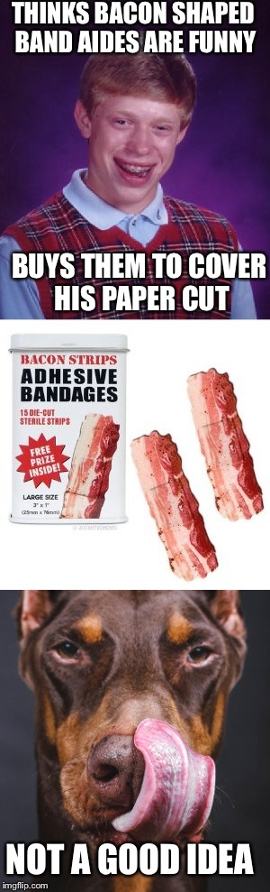 Bacon & Band Aides Fix Everything But Stupid  | THINKS BACON SHAPED BAND AIDES ARE FUNNY; BUYS THEM TO COVER HIS PAPER CUT; NOT A GOOD IDEA | image tagged in bad luck brian,bacon,memes,lol,lynch1979 | made w/ Imgflip meme maker