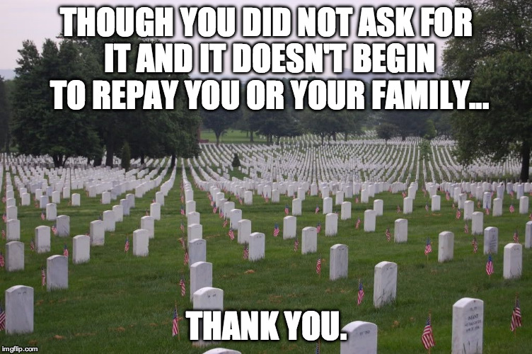 Memorial Day | THOUGH YOU DID NOT ASK FOR IT AND IT DOESN'T BEGIN TO REPAY YOU OR YOUR FAMILY... THANK YOU. | image tagged in memorial day | made w/ Imgflip meme maker