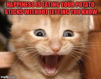 Excited Cat Meme | HAPPINESS IS EATING YOUR POTATO STICKS WITHOUT LETTING YOU KNOW | image tagged in memes,excited cat | made w/ Imgflip meme maker