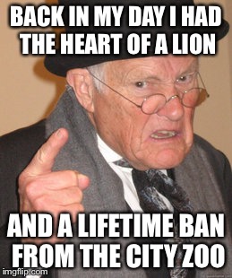 Back In My Day Meme | BACK IN MY DAY I HAD THE HEART OF A LION; AND A LIFETIME BAN FROM THE CITY ZOO | image tagged in memes,back in my day | made w/ Imgflip meme maker