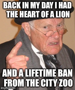 Back In My Day | BACK IN MY DAY I HAD THE HEART OF A LION; AND A LIFETIME BAN FROM THE CITY ZOO | image tagged in memes,back in my day | made w/ Imgflip meme maker