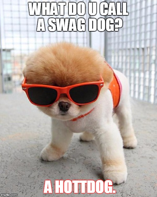 Cute Puppies | WHAT DO U CALL A SWAG DOG? A HOTTDOG. | image tagged in cute puppies | made w/ Imgflip meme maker