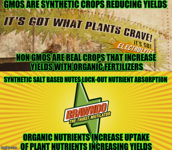 Monsanto has genetically engineered plants to grow pesticides in order  to increase profits. | GMOS ARE SYNTHETIC CROPS REDUCING YIELDS; NON GMOS ARE REAL CROPS THAT INCREASE YIELDS WITH ORGANIC FERTILIZERS; SYNTHETIC SALT BASED NUTES LOCK-OUT NUTRIENT ABSORPTION; ORGANIC NUTRIENTS INCREASE UPTAKE OF PLANT NUTRIENTS INCREASING YIELDS | image tagged in gmos are,synthetic pesticide,producing plants,that grow,chemicals,for monsanto to sell | made w/ Imgflip meme maker