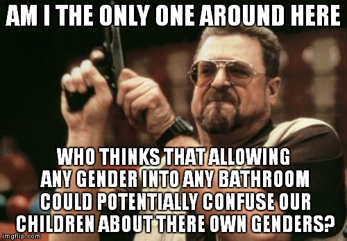 Am I The Only One Around Here Meme | AM I THE ONLY ONE AROUND HERE; WHO THINKS THAT ALLOWING ANY GENDER INTO ANY BATHROOM COULD POTENTIALLY CONFUSE OUR CHILDREN ABOUT THERE OWN GENDERS? | image tagged in memes,am i the only one around here | made w/ Imgflip meme maker
