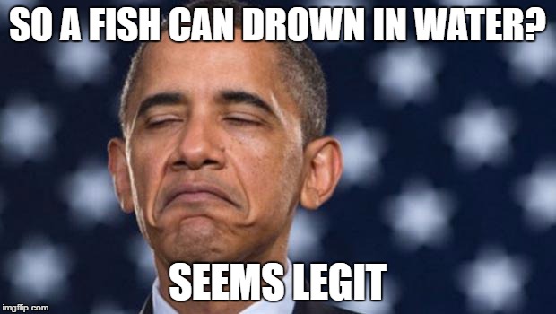 Me When My Science Teacher Explains About Eutrophication | SO A FISH CAN DROWN IN WATER? SEEMS LEGIT | image tagged in seems legit obama,eutrophicaton,seems legit,funny,memes | made w/ Imgflip meme maker