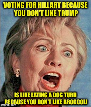 It's like a turd sandwich | VOTING FOR HILLARY BECAUSE YOU DON'T LIKE TRUMP IS LIKE EATING A DOG TURD BECAUSE YOU DON'T LIKE BROCCOLI | image tagged in ugly hillary clinton,trump,election 2016,memes | made w/ Imgflip meme maker