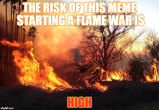 Flame War Flames Devastation | THE RISK OF THIS MEME STARTING A FLAME WAR IS HIGH | image tagged in flame war flames devastation | made w/ Imgflip meme maker