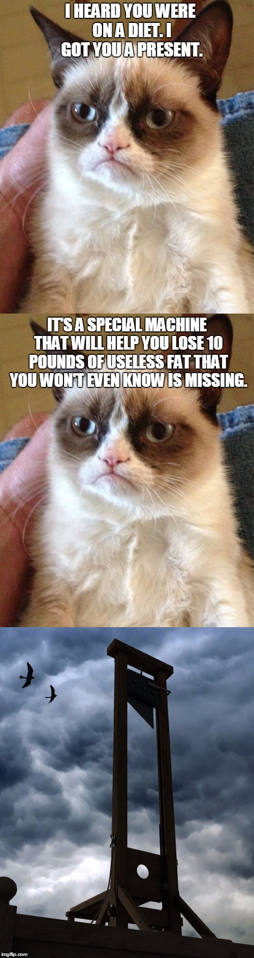 Grumpy Cat is feeling generous |  I HEARD YOU WERE ON A DIET. I GOT YOU A PRESENT. IT'S A SPECIAL MACHINE THAT WILL HELP YOU LOSE 10 POUNDS OF USELESS FAT THAT YOU WON'T EVEN KNOW IS MISSING. | image tagged in memes,grumpy cat,new feature,guillotine,maim,grumpy cat weight loss program | made w/ Imgflip meme maker