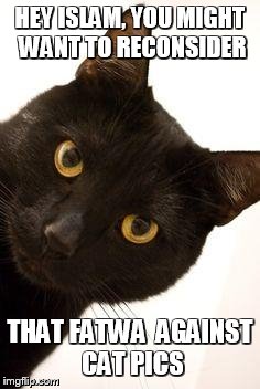 REALLY,  A CAT PIC FATWA?  | HEY ISLAM, YOU MIGHT WANT TO RECONSIDER; THAT FATWA  AGAINST CAT PICS | image tagged in black cat being catty,middle east,muslim,islam,cats | made w/ Imgflip meme maker