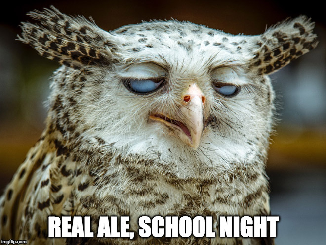 REAL ALE, SCHOOL NIGHT | image tagged in drink,owls | made w/ Imgflip meme maker