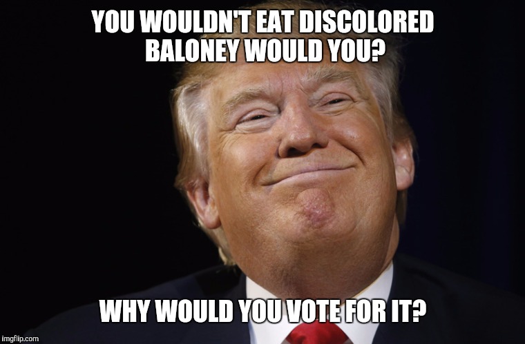 YOU WOULDN'T EAT DISCOLORED BALONEY WOULD YOU? WHY WOULD YOU VOTE FOR IT? | image tagged in trump 2016,trump,donald trump,politics,lying | made w/ Imgflip meme maker