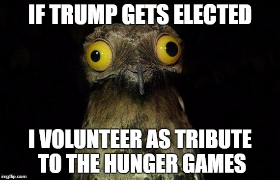 Weird Stuff I Do Potoo Meme | IF TRUMP GETS ELECTED; I VOLUNTEER AS TRIBUTE TO THE HUNGER GAMES | image tagged in memes,weird stuff i do potoo | made w/ Imgflip meme maker