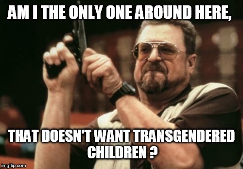 Am I The Only One Around Here Meme | AM I THE ONLY ONE AROUND HERE, THAT DOESN'T WANT TRANSGENDERED CHILDREN ? | image tagged in memes,am i the only one around here | made w/ Imgflip meme maker