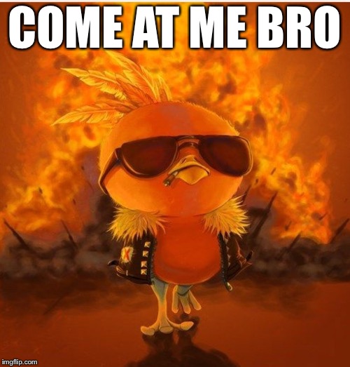 Torchic | COME AT ME BRO | image tagged in torchic | made w/ Imgflip meme maker