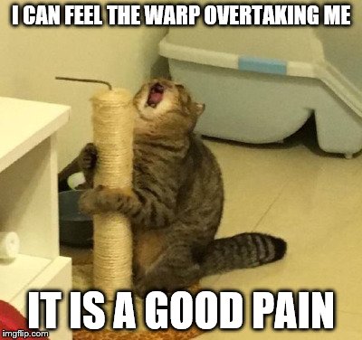 enjoying too much cat | I CAN FEEL THE WARP OVERTAKING ME; IT IS A GOOD PAIN | image tagged in enjoying too much cat | made w/ Imgflip meme maker