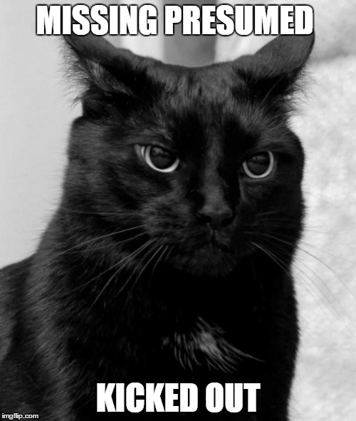 Black cat pissed | MISSING PRESUMED; KICKED OUT | image tagged in black cat pissed | made w/ Imgflip meme maker