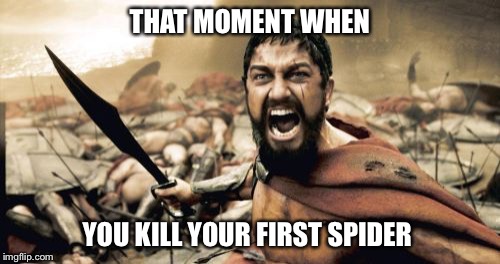 Sparta Leonidas Meme | THAT MOMENT WHEN; YOU KILL YOUR FIRST SPIDER | image tagged in memes,sparta leonidas | made w/ Imgflip meme maker