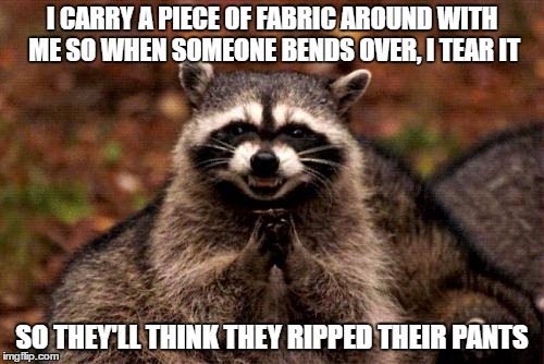 Evil Plotting Raccoon Meme | I CARRY A PIECE OF FABRIC AROUND WITH ME SO WHEN SOMEONE BENDS OVER, I TEAR IT; SO THEY'LL THINK THEY RIPPED THEIR PANTS | image tagged in memes,evil plotting raccoon | made w/ Imgflip meme maker