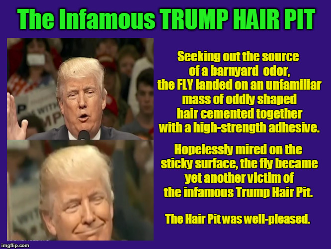 The Infamous TRUMP HAIR PIT | The Infamous TRUMP HAIR PIT; Seeking out the source of a barnyard  odor, the FLY landed on an unfamiliar mass of oddly shaped hair cemented together with a high-strength adhesive. Hopelessly mired on the sticky surface, the fly became yet another victim of the infamous Trump Hair Pit. The Hair Pit was well-pleased. | image tagged in donald trump,trump,donald trumph hair,fly in hair,fly in trump's hair,fly | made w/ Imgflip meme maker