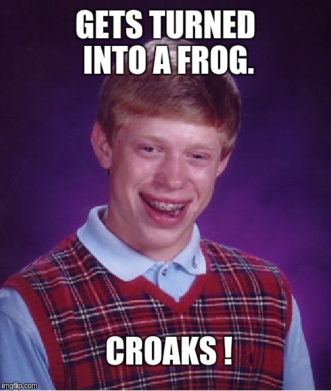 Bad Luck Brian | GETS TURNED INTO A FROG. CROAKS ! | image tagged in memes,bad luck brian | made w/ Imgflip meme maker