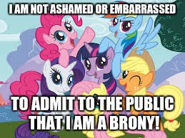 My Little Pony | I AM NOT ASHAMED OR EMBARRASSED; TO ADMIT TO THE PUBLIC THAT I AM A BRONY! | image tagged in my little pony | made w/ Imgflip meme maker